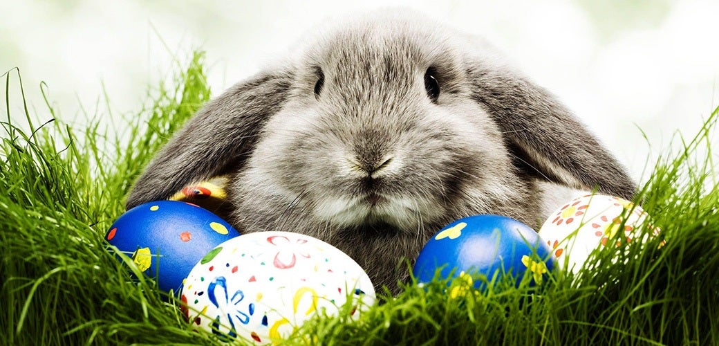 Pet-n-Sur - The history of the Easter Bunny
