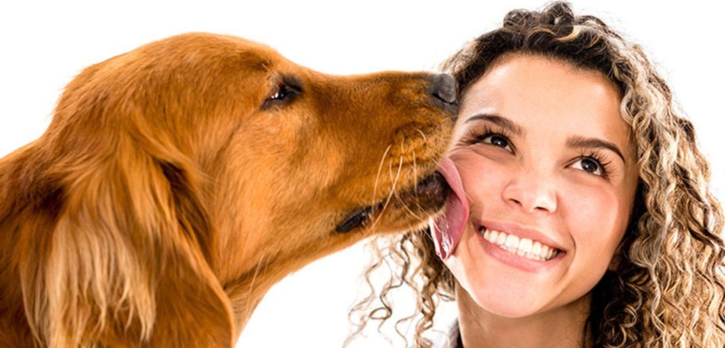 Pet-n-Sur - Why do dogs lick people?
